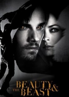 新侠胆雄狮第二季